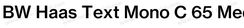 BW Haas Text Mono C 65 Medium字体转换